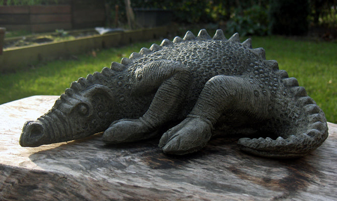 Croc Dragon