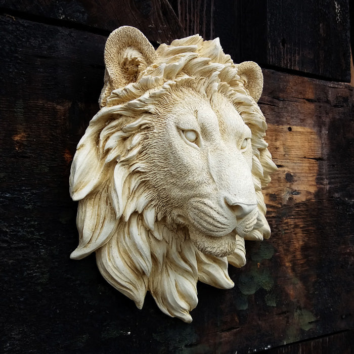 Lion Head medium