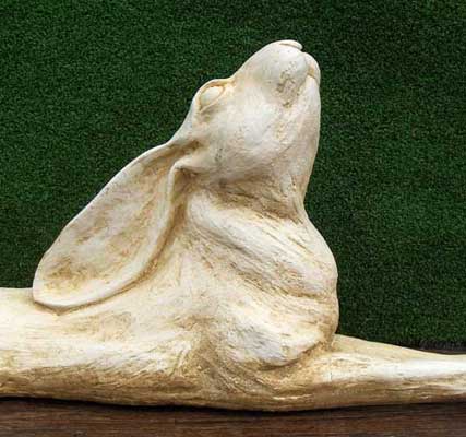 Relaxed Moongazing Hare