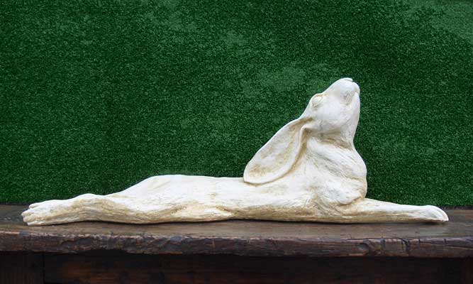 Relaxed Moongazing Hare