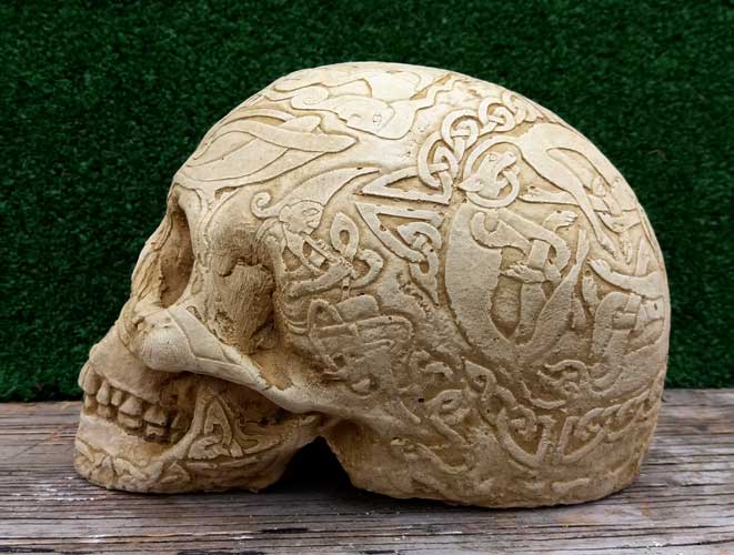 Celtic Skull